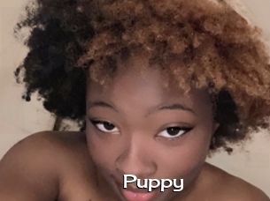 Puppy