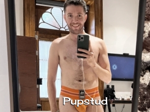 Pupstud