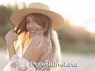 Purefelinekata
