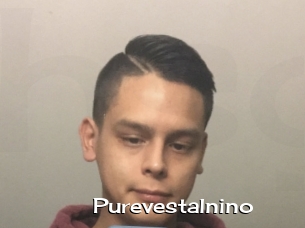 Purevestalnino