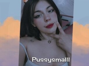 Pussysmalll