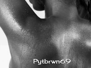 Pytbrwn69