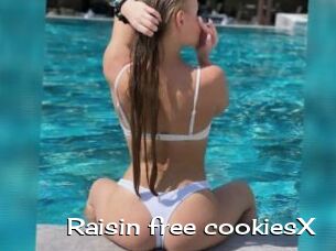 Raisin_free_cookiesX