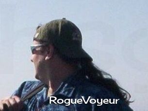 RogueVoyeur