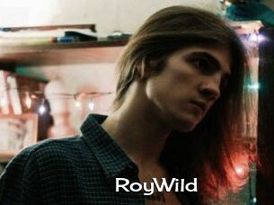 RoyWild