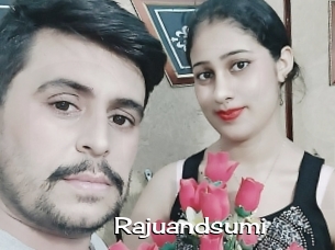 Rajuandsumi