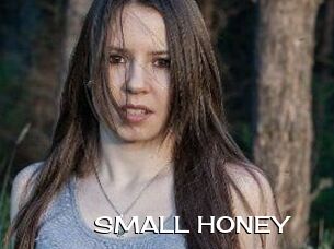 SMALL_HONEY