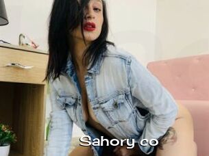 Sahory_co