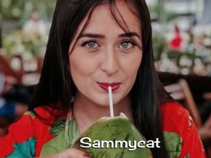 Sammycat