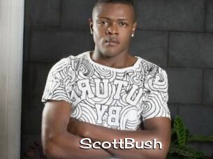 ScottBush