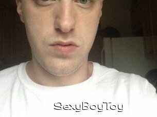 SexyBoyToy