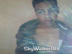 SkyWalker88
