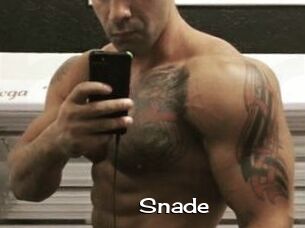 Snade