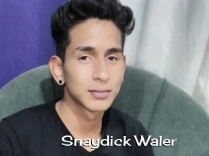 Snaydick_Waler