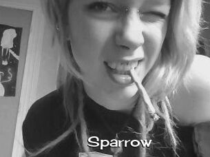 Sparrow