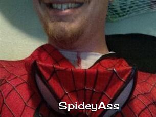 SpideyAss