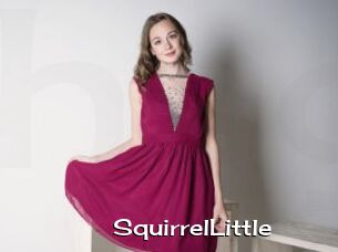 SquirrelLittle