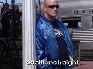 Stallionstraight