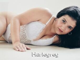 Harleyrey