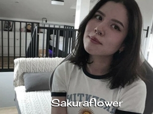 Sakuraflower