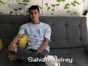 Salvatredelrey