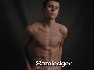 Samledger
