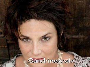 Sandrinescalo