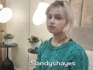 Sandyshayes