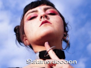 Satansraccoon