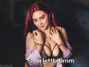 Scarlettblumm