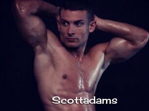 Scottadams