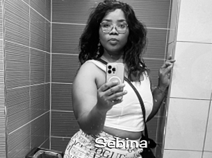 Sebina