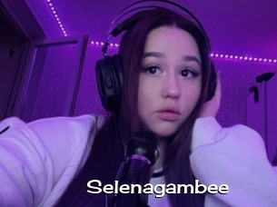 Selenagambee