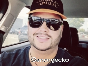 Senorgecko