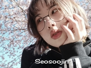Seosoojin