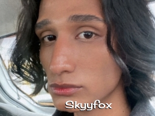 Skyyfox