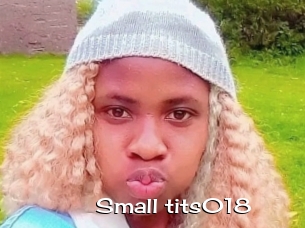 Small_tits018