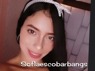 Sofiaescobarbangs