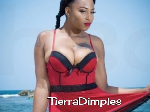 TierraDimples