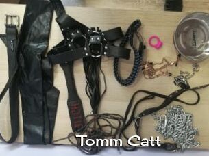 Tomm_Catt
