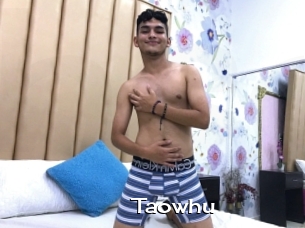 Taowhu
