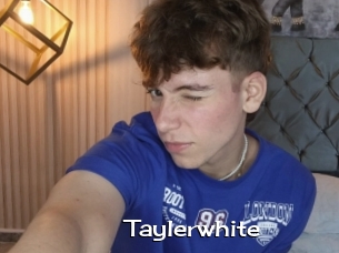 Taylerwhite