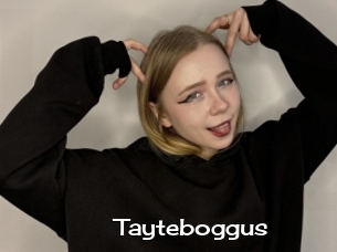 Tayteboggus