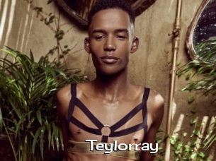 Teylorray