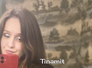 Tinamit