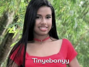 Tinyebonyy