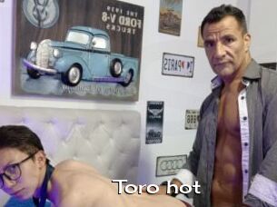 Toro_hot