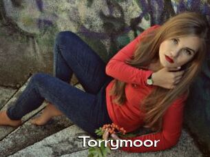 Torrymoor