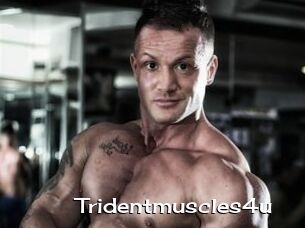 Tridentmuscles4u