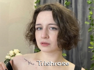 Trishrose